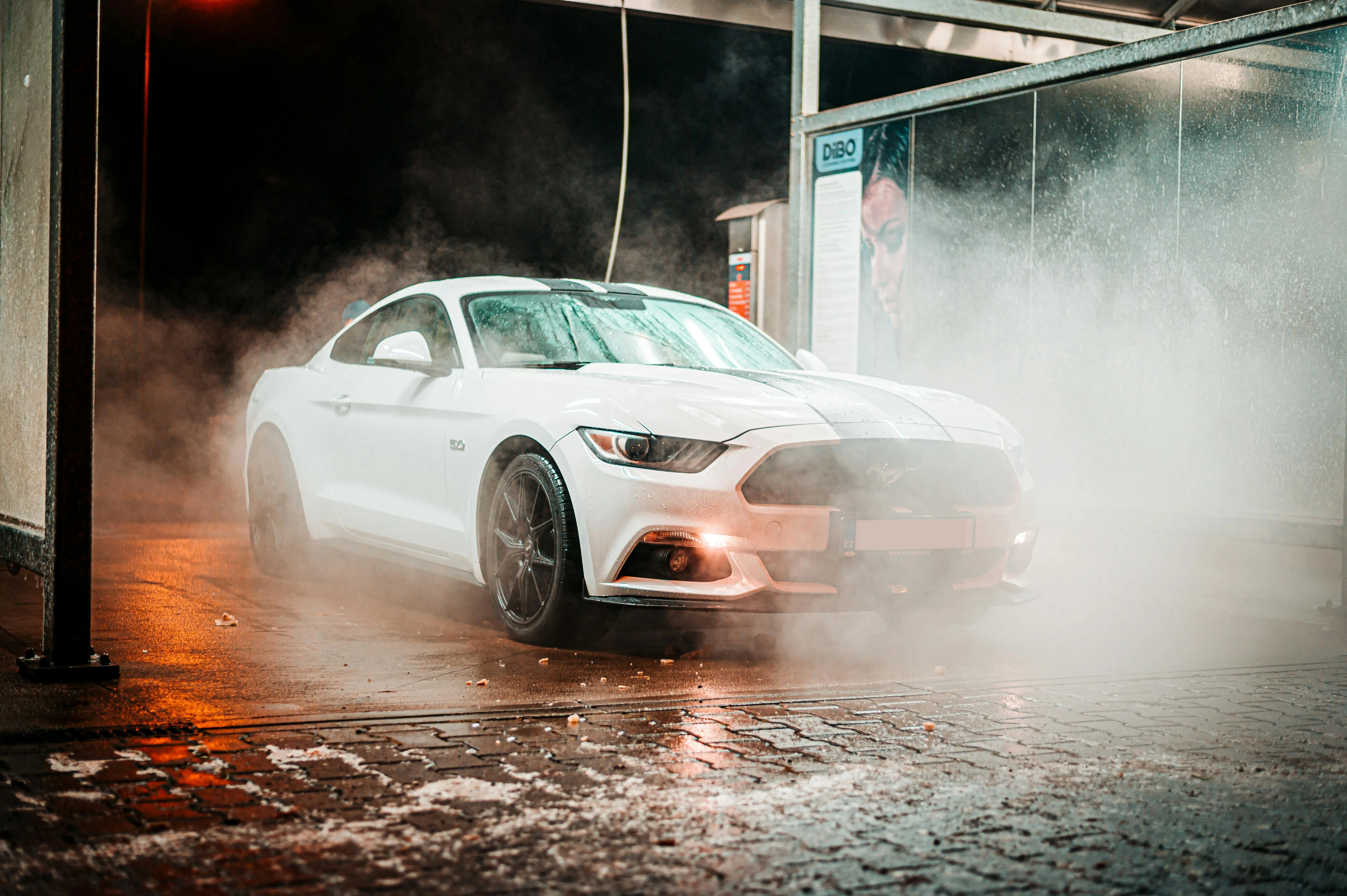 /mustang.webp